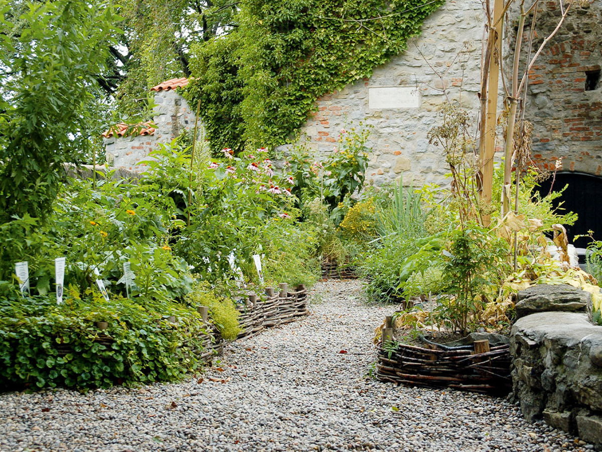 Duft- und Heilpflanzengarten 2005