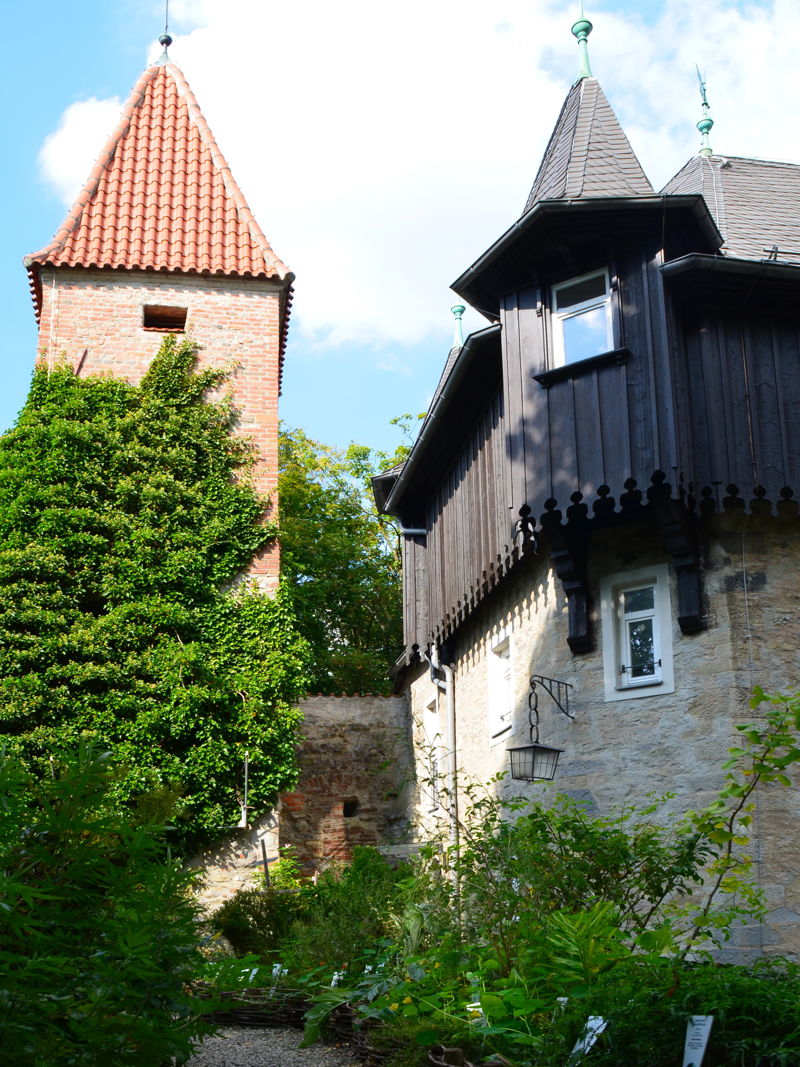 Kostenlose Führungen: im Duft- und Heilpflanzengarten