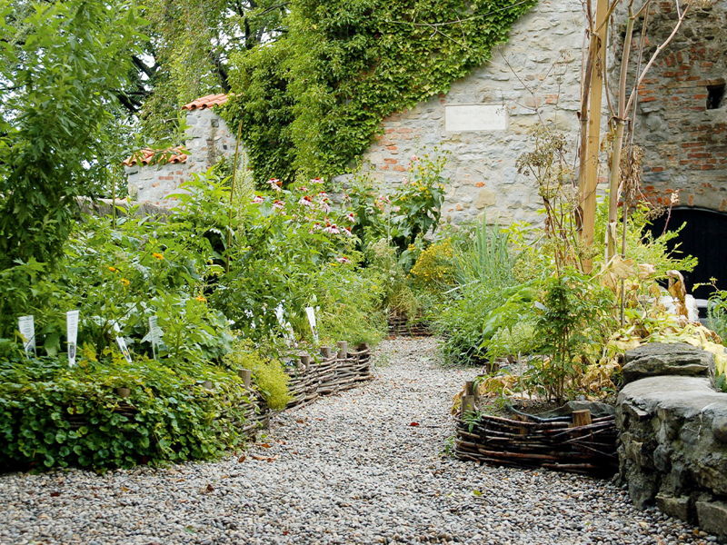 vielfalt im duftgarten